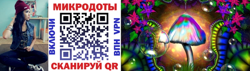 наркошоп  Тетюши  Псилоцибиновые грибы Psilocybe 